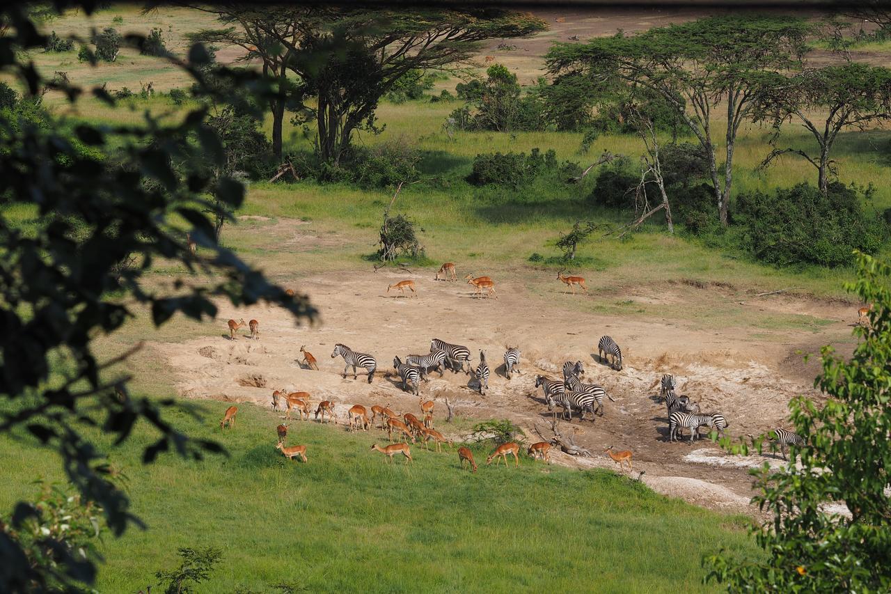 Saruni Eagle View 호텔 Naboisho 외부 사진